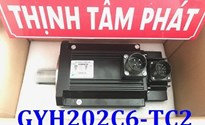 Motor servo Fuji GYH202C6-TC2